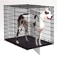 dog cage