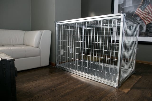 Picture Idea: Reasons To Buy A Crate For Your Dog